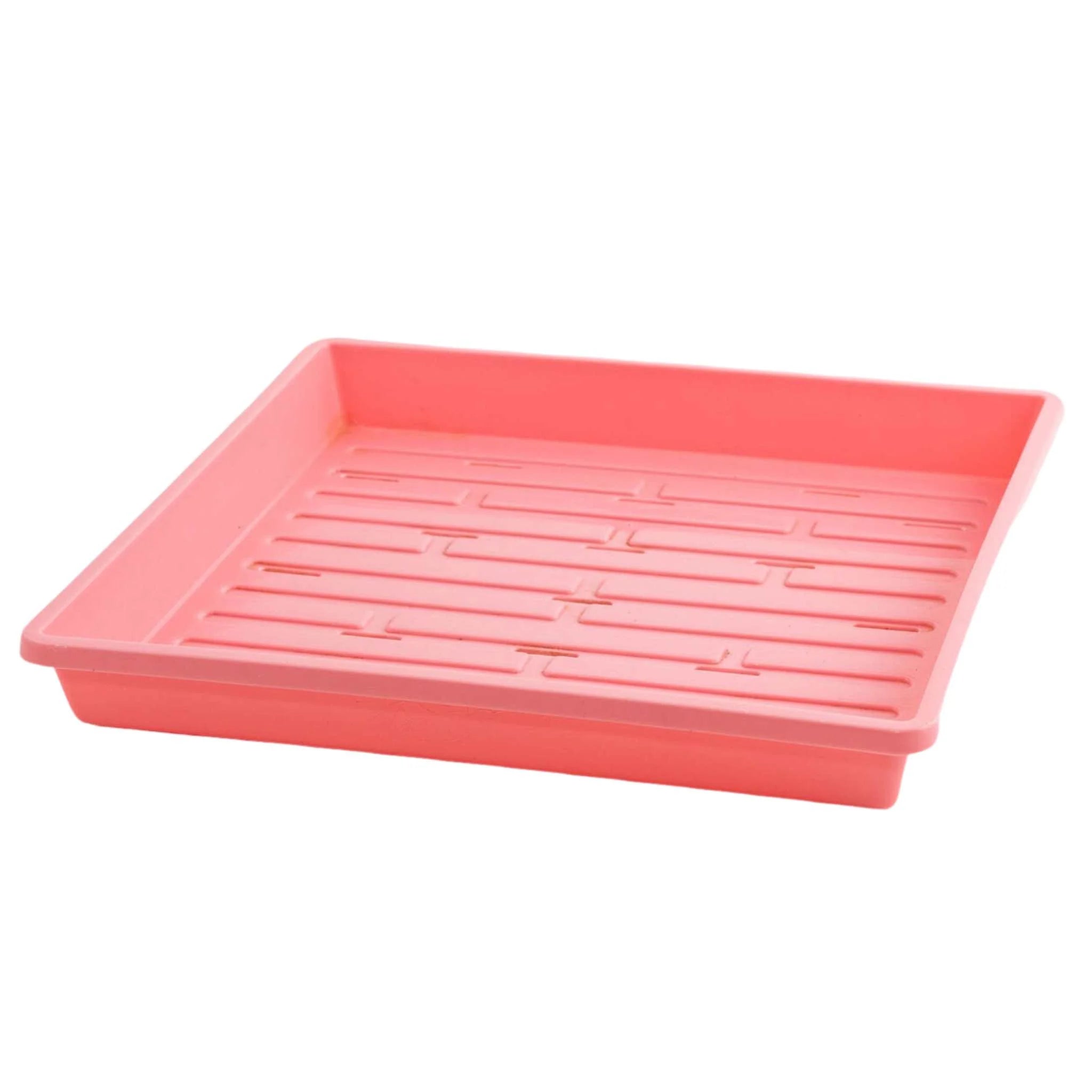 Bootstrap Farmer 1010 Shallow Seed Trays, With Holes | Assorted Colors