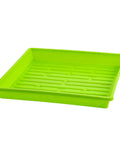 Bootstrap Farmer 1010 Shallow Seed Trays, With Holes | Assorted Colors