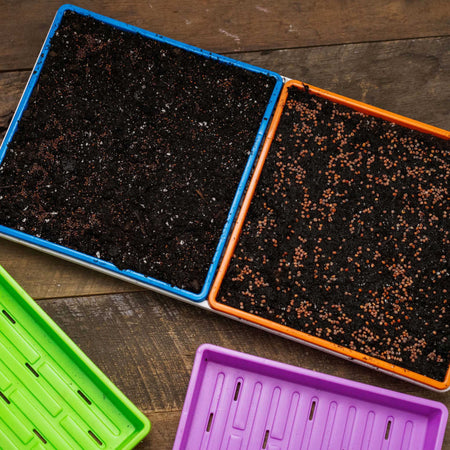 Bootstrap Farmer 1010 Shallow Seed Trays, With Holes | Assorted Colors