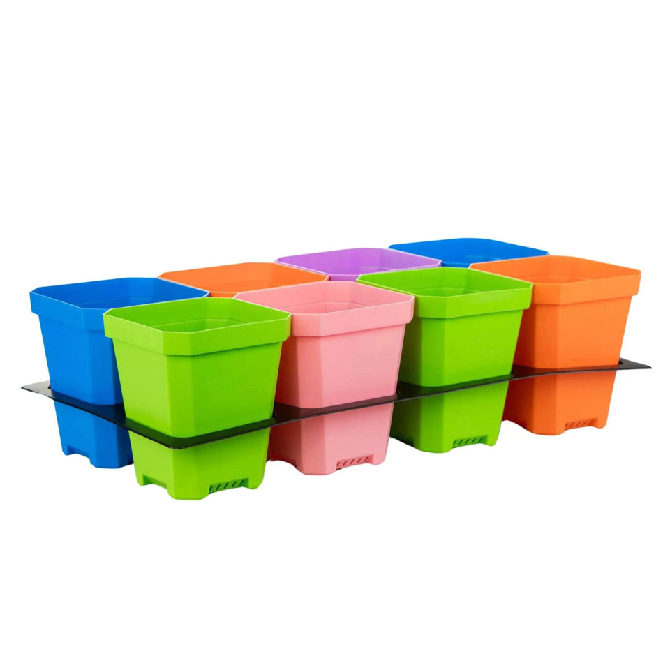 Bootstrap Farmer 1020 Insert Tray for 5" Pots