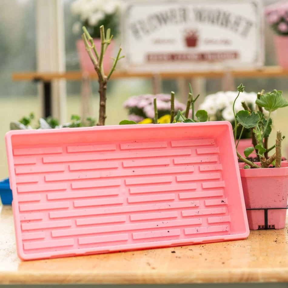 Bootstrap Farmer 1020 Seed Starting Trays, No Holes | Assorted Colors