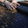 Bootstrap Farmer 1020 Shallow Extra Strength Microgreens Trays | With Holes