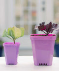 Bootstrap Farmer 3.3" Heavy Duty Seed Starting Pots | Assorted Colors