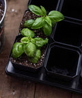 Bootstrap Farmer 3.3" Heavy Duty Seed Starting Pots | Assorted Colors