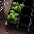 Bootstrap Farmer 3.3" Heavy Duty Seed Starting Pots | Assorted Colors