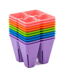 Bootstrap Farmer 4 Cell Plug Tray Inserts | Assorted Colors