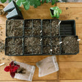 Bootstrap Farmer 4 Cell Plug Tray Inserts | Black