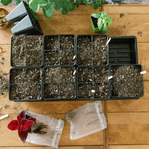 Bootstrap Farmer 4 Cell Plug Tray Inserts | Black