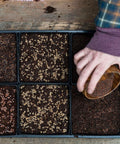 Bootstrap Farmer 5X5 Shallow Microgreen Trays, With Holes