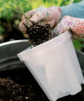Bootstrap Farmer 5" Heavy Duty Seed Starting Pots | Assorted Colors