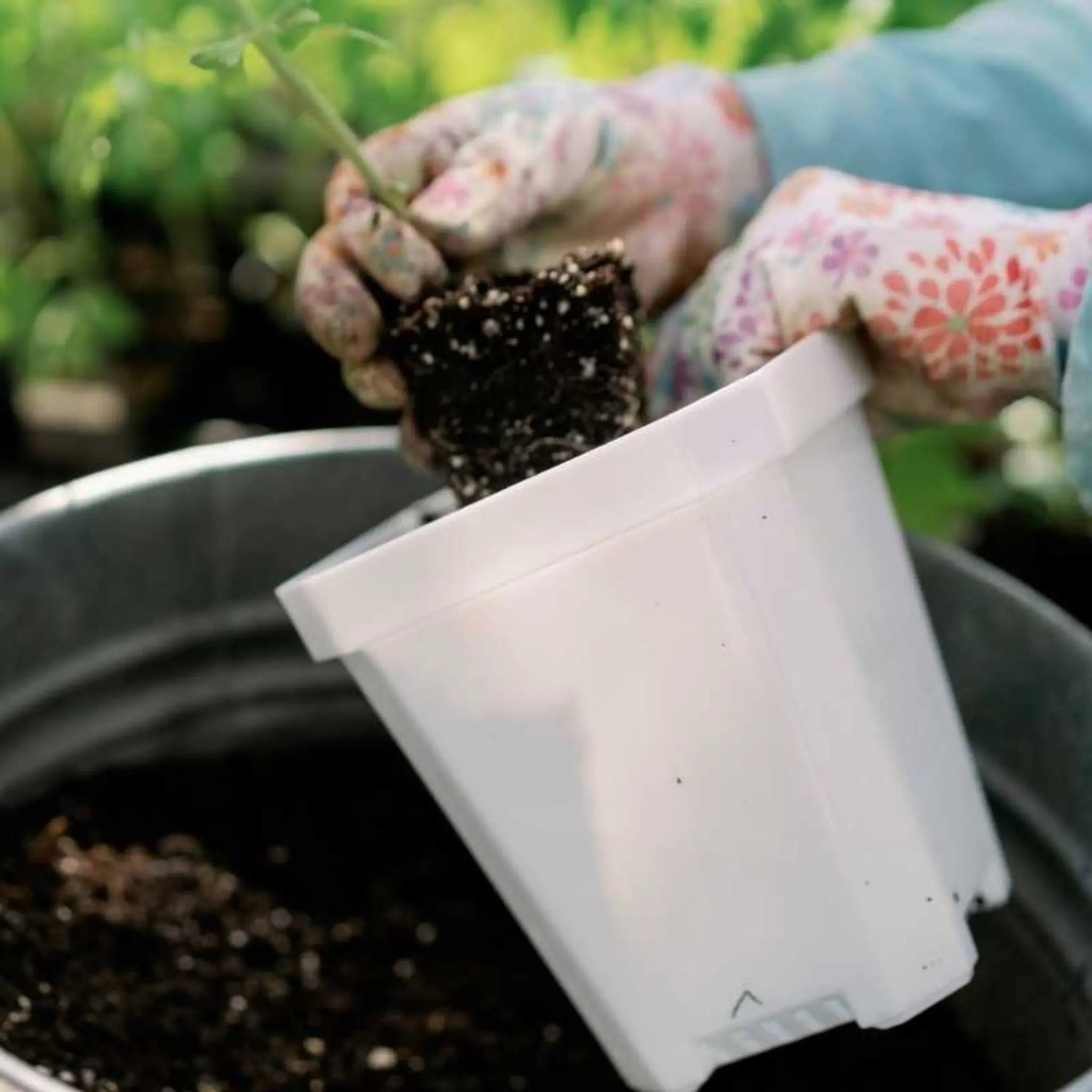 Bootstrap Farmer 5" Heavy Duty Seed Starting Pots | Assorted Colors