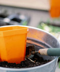 Bootstrap Farmer 5" Heavy Duty Seed Starting Pots | Assorted Colors