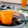 Bootstrap Farmer 5" Heavy Duty Seed Starting Pots | Assorted Colors