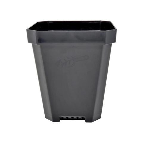 Bootstrap Farmer 5" Heavy Duty Seed Starting Pots | Assorted Colors