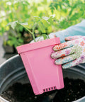 Bootstrap Farmer 5" Heavy Duty Seed Starting Pots | Assorted Colors