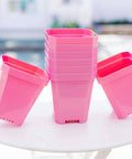 Bootstrap Farmer 5" Heavy Duty Seed Starting Pots | Assorted Colors