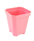 Bootstrap Farmer 5" Heavy Duty Seed Starting Pots | Assorted Colors