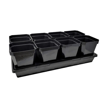 Bootstrap Farmer 5" Heavy Duty Seed Starting Pots | Assorted Colors