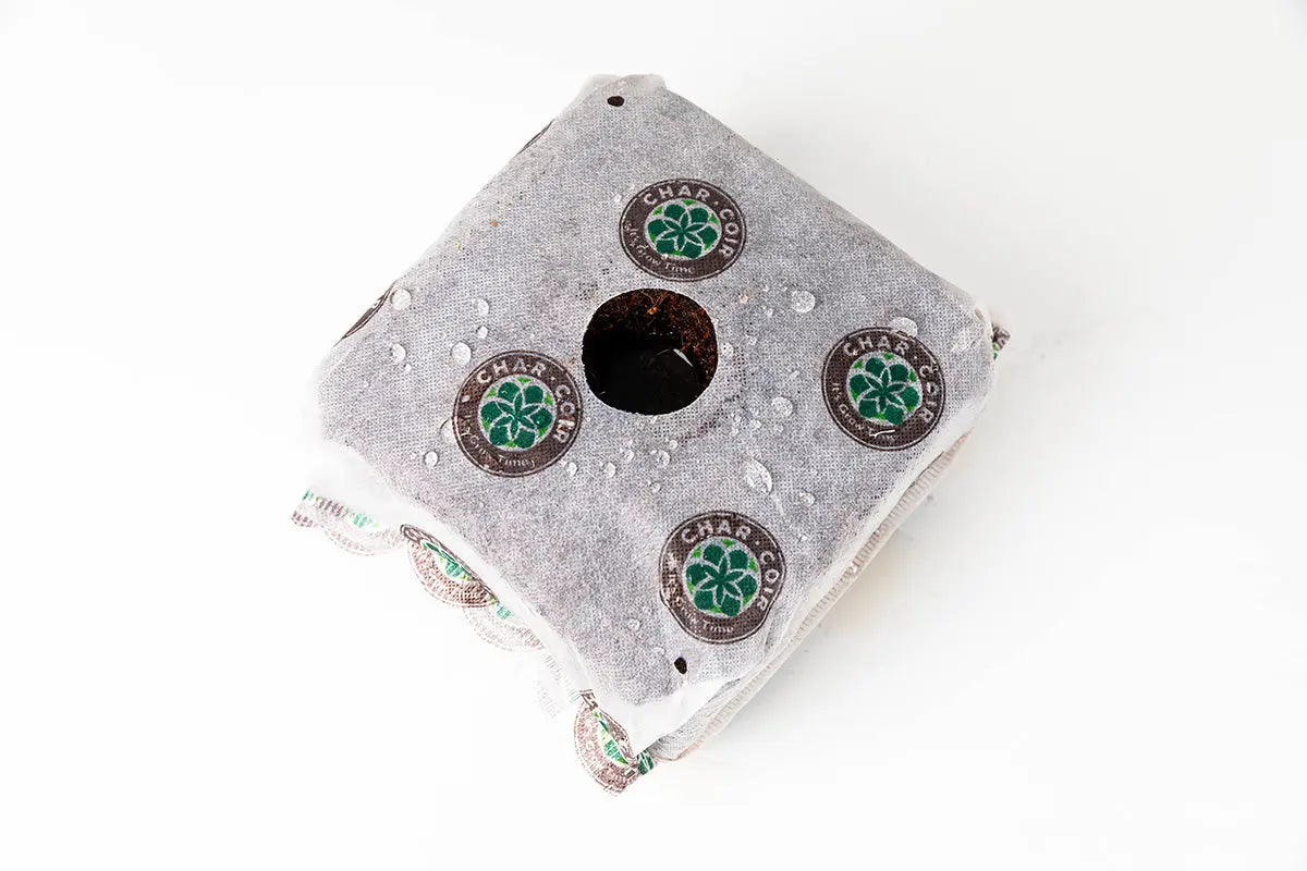 CHAR COIR Coco Cube, 1 Gallon