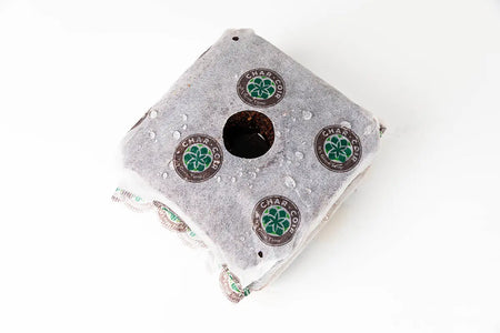 CHAR COIR Coco Cube, 1 Gallon