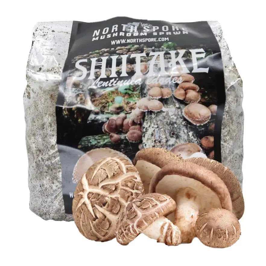 Copy of NORTH SPORE Organic Shiitake Mushroom Sawdust Spawn