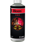 Cutting Edge Solutions Bloom
