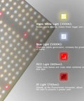 MEGAPHOTON LED Grow Light Full Spectrum/2.5umol/Dimmable, 200W