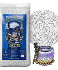 Expanded Horticultural Grade #4 Popcorn Size Perlite, 2.5 Dry Qt