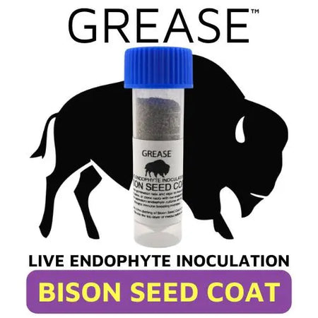 GREASE Bison Seed Coat (ENDOPHYTES)