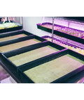 Grodan Micro-Greens Cress Propagation Mat 10" x 20" | Case of 95