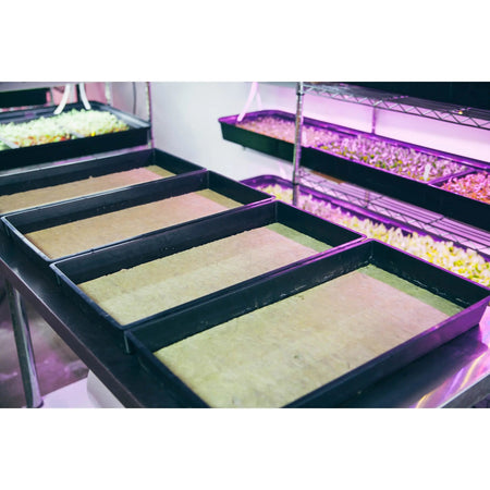 Grodan Micro-Greens Cress Propagation Mat 10" x 20" | Case of 95