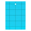 Grow1 Blue Sticky Card Traps 3 x 5-Inch, 10-Pack