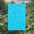 Grow1 Blue Sticky Card Traps 3 x 5-Inch, 10-Pack