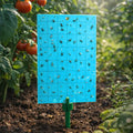 Grow1 Blue Sticky Card Traps 3 x 5-Inch, 10-Pack