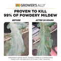 Grower's Ally® Fungicide Concentrate, 8 oz