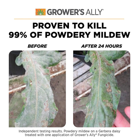 Grower's Ally® Fungicide Concentrate, 8 oz