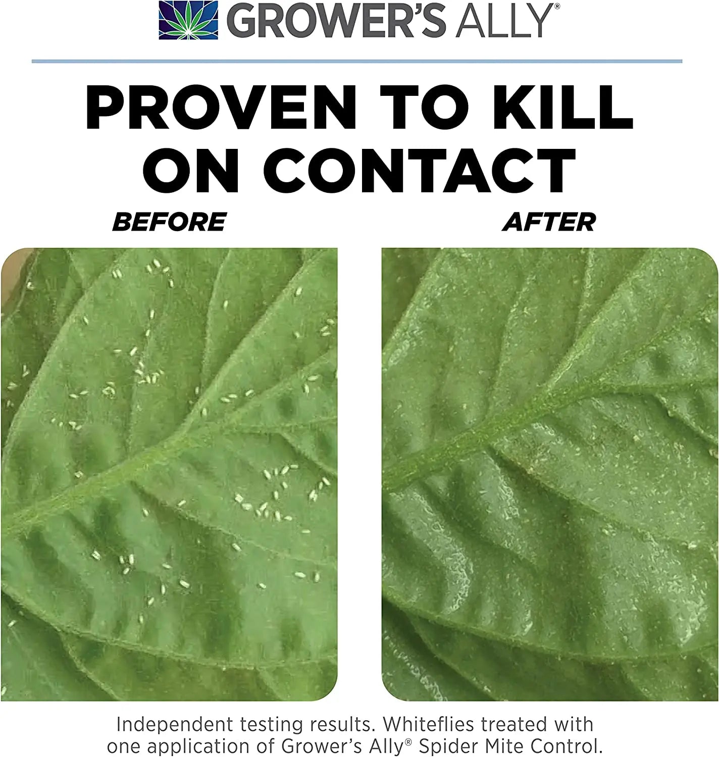 Grower's Ally® Spider Mite Control Ready-to-Use, 24 oz