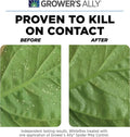 Grower's Ally® Spider Mite Control Ready-to-Use, 24 oz