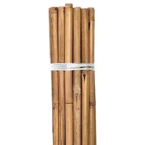 Grower's Edge® Natural Bamboo, 6' | Pack of 50 Growers Edge