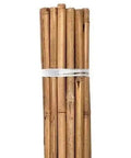 Grower's Edge® Natural Bamboo, 8' Single Stake