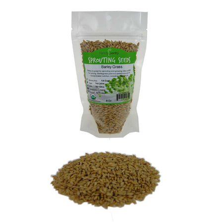 Handy Pantry Barley Whole Grass | Organic Microgreens Sprouting Seeds