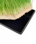 Handy Pantry Hydroponic Wheatgrass Growing Kit