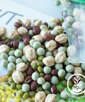 Handy Pantry Sprouting Jar Kit - Quart
