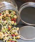 Handy Pantry Sprouting Jar Kit - Quart