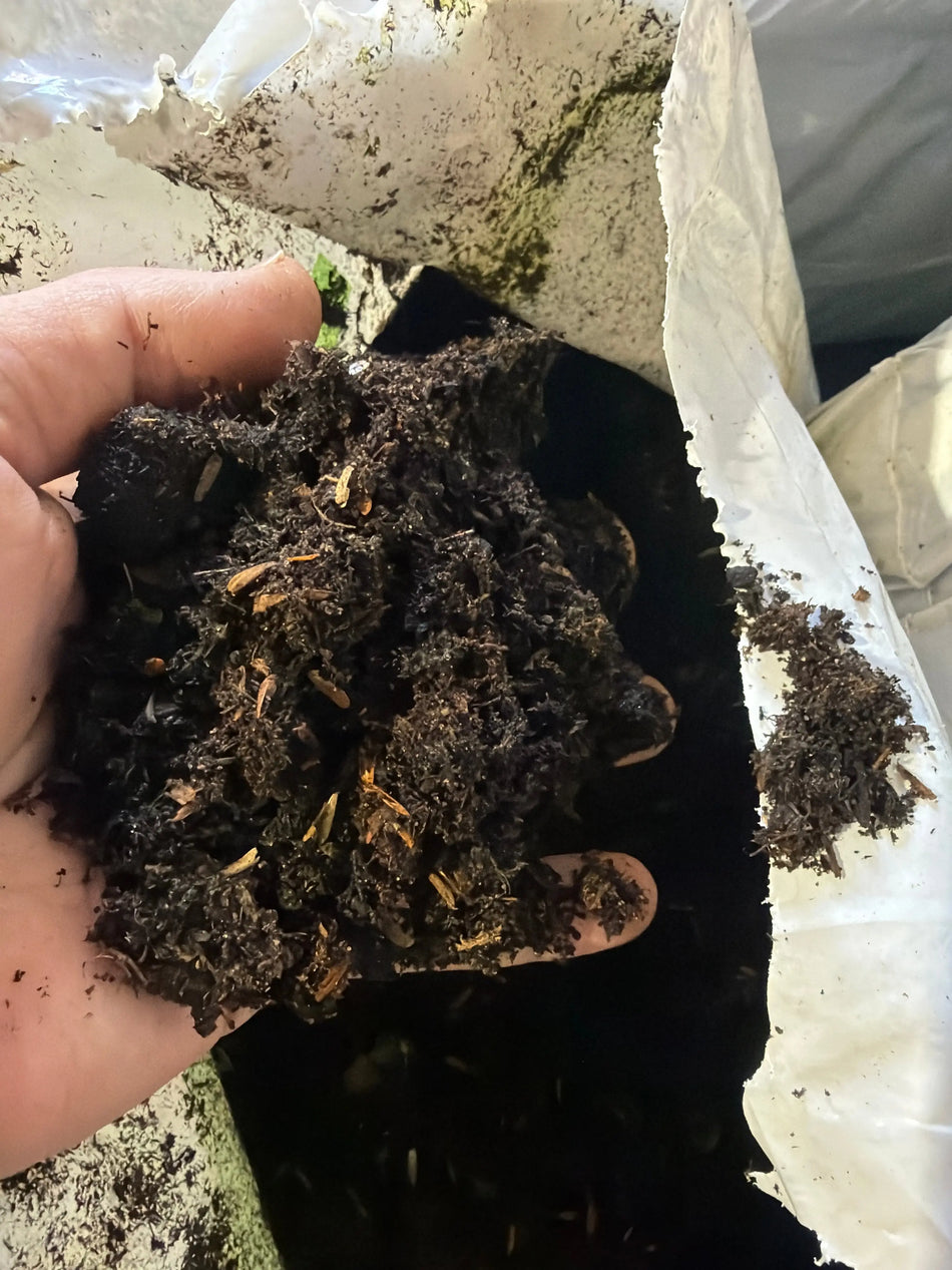Hsu Organic Rice Hull Potting Soil, 3 cu ft