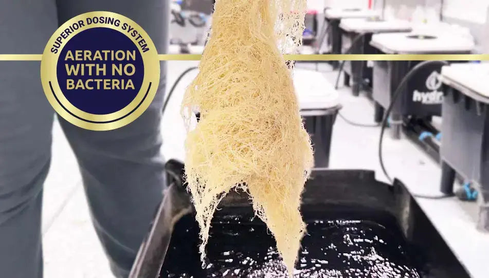 Hydra Unlimited Venturi Circulator