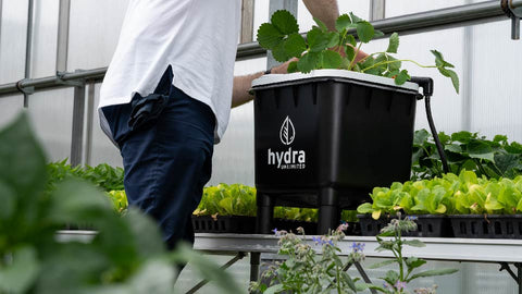 HydraMax 1 Site RDWC System