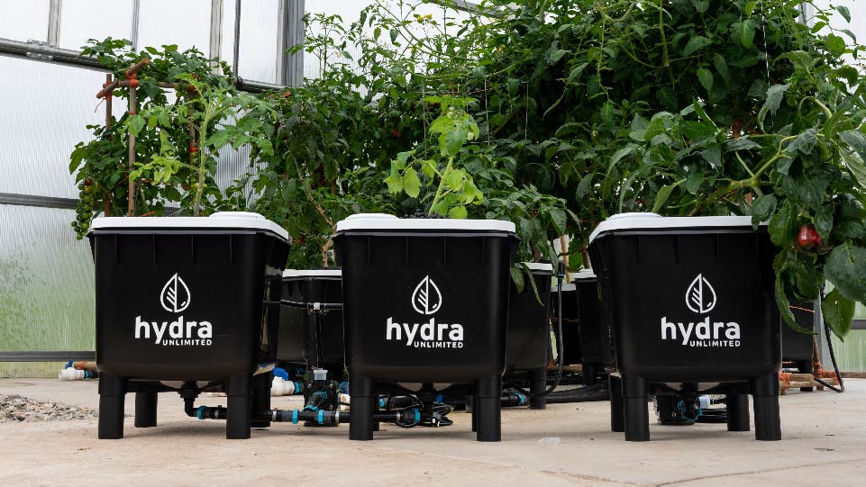 HydraMax 2 Bucket Home RDWC System