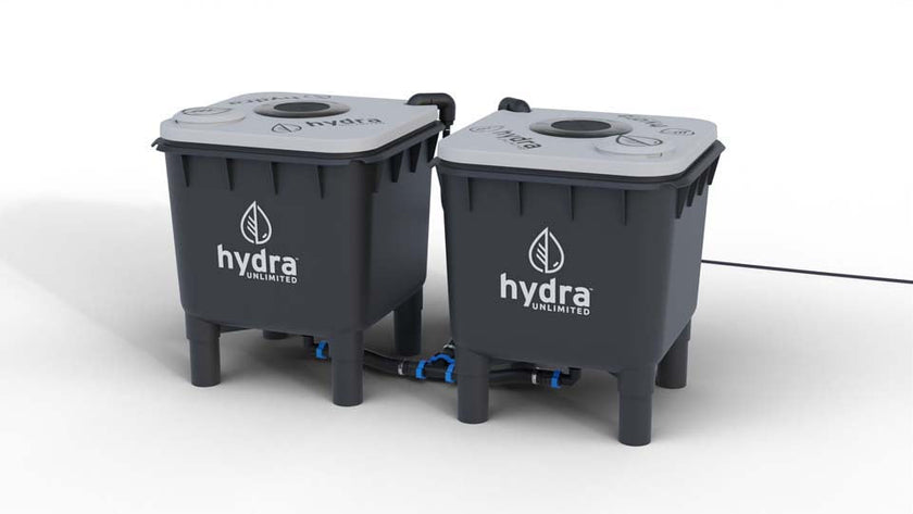 HydraMax 2 Bucket Home RDWC System | In-Stock - Buy Now! – GARDEN ...