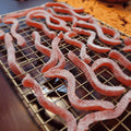 LĒVO Sour Gummy Sugar - Unflavored